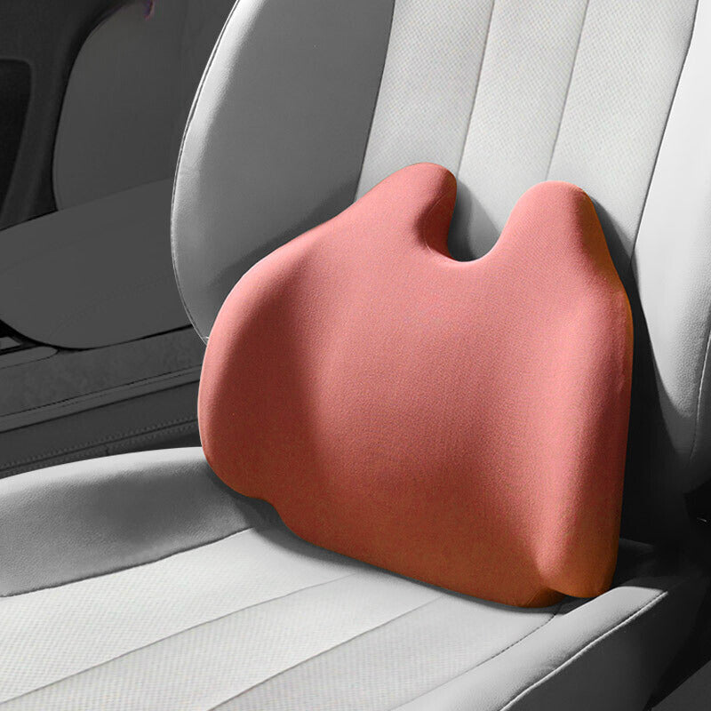 Lumbar pillow for the car or in the office